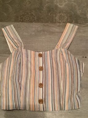 Paper Crane Multi-Stripe Button-Front Crop Top in Blue, Tan & Cream